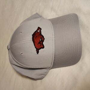 Arkansas Razorback Nike hat